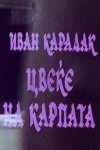 Цвеќе на карпата Online En Netflix