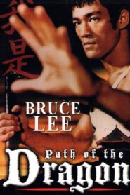 The Path of the Dragon Online En Netflix