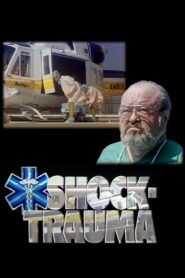 Shock-Trauma Online En Netflix