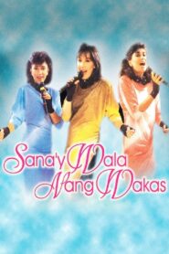 Sana’y Wala Nang Wakas Online En Netflix