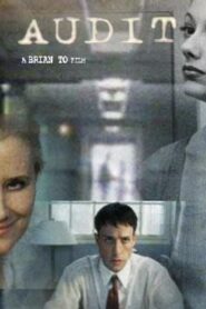 Audit Online En Netflix