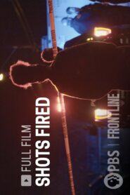 Shots Fired Online En Netflix