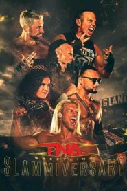 TNA Slammiversary 2025 Online En Netflix
