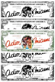 Adiós, Miami Online En Netflix