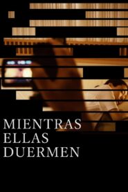 女が眠る時 Online En Netflix