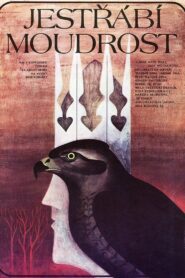 Jestřábí moudrost Online En Netflix