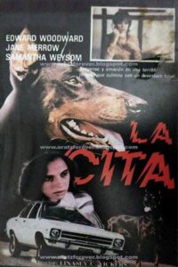 The Appointment Online En Netflix