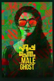 പുരുഷ പ്രേതം Online En Netflix