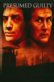 Guilty Until Proven Innocent Online En Netflix