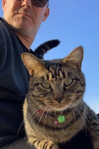 Curly’s Thanksgiving Online En Netflix