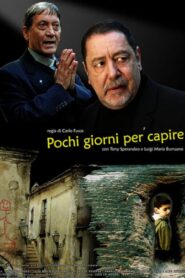 Pochi giorni per capire Online En Netflix