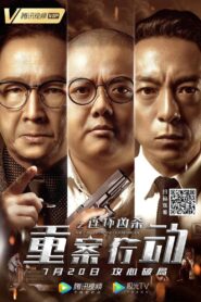重案行动之连环凶杀 Online En Netflix