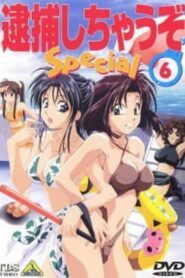 Taiho Shichau zo: Nagisa no Koutsuu Yuudou Online En Netflix