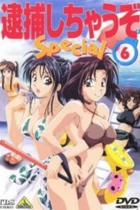 Taiho Shichau zo: Nagisa no Koutsuu Yuudou Online En Netflix