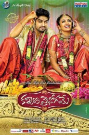 కళ్యాణ వైభోగమే Online En Netflix