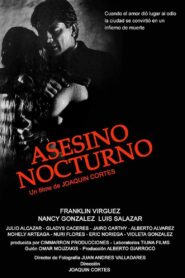 Asesino Nocturno Online En Netflix