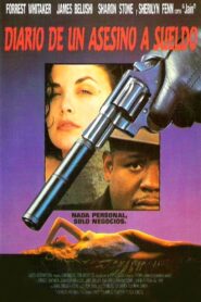 Diary of a Hitman Online En Netflix