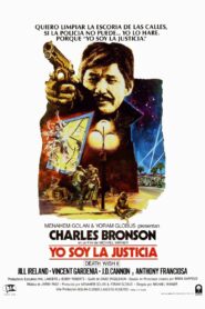 El vengador anónimo 2 Online En Netflix