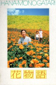花物語 Online En Netflix