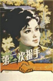 第二次握手 Online En Netflix