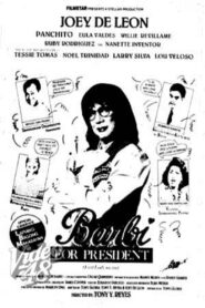 Barbi for President Online En Netflix
