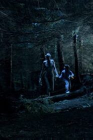 Ordan’s Forest Online En Netflix