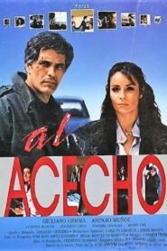 Al acecho Online En Netflix