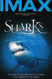 IMAX: Sharks 3D Online En Netflix