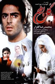 گل یخ Online En Netflix
