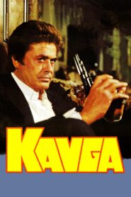 Kavga Online En Netflix