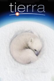 La Tierra Online En Netflix