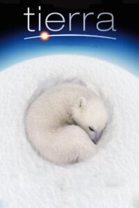 La Tierra Online En Netflix