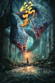 蛇王 Online En Netflix