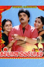 கல்யாண வைபோகம் Online En Netflix