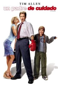 Joe Somebody Online En Netflix