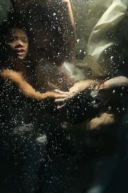 Citizen Poet Online En Netflix