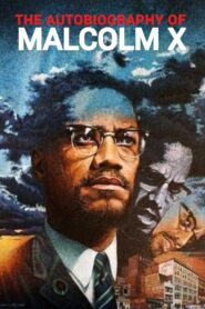 The Autobiography of Malcolm X Online En Netflix