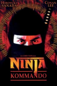 龍之忍者 Online En Netflix