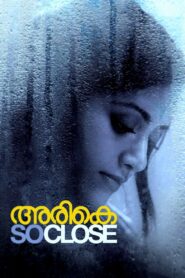 അരികെ Online En Netflix