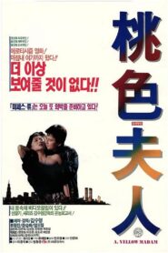 도색부인 Online En Netflix