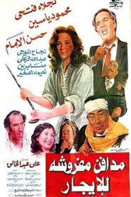 مدافن مفروشة للإيجار Online En Netflix