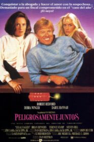 Legal Eagles Online En Netflix