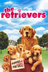 The Retrievers Online En Netflix
