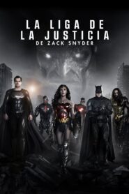 La Liga de la Justicia de Zack Snyder Online En Netflix