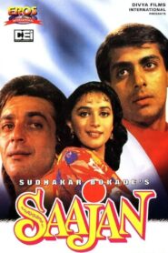साजन Online En Netflix