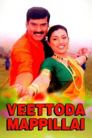 வீட்டோட மாப்பிள்ளை Online En Netflix