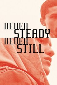 Never Steady, Never Still Online En Netflix