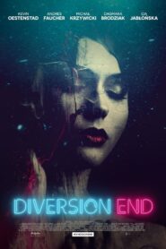 Diversion End 2016 En Netflix