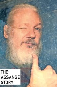 The Assange Story Online En Netflix