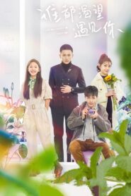 谁都渴望遇见你 2020 En Netflix